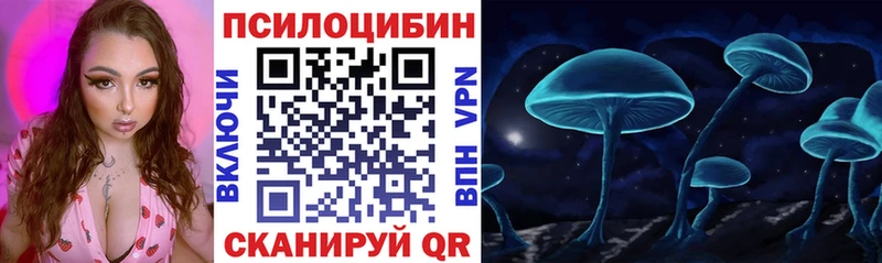 Купить где  Рузаевка  Псилоцибиновые грибы Cubensis 